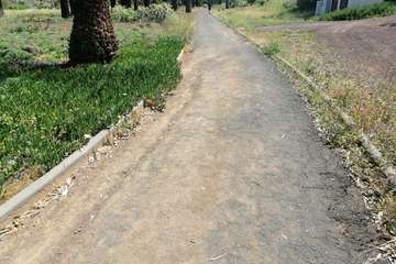 Abandono del Parque de las Mil Palmeras del Valle de Jinámar/TA.